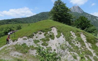 Klek – usnuli div